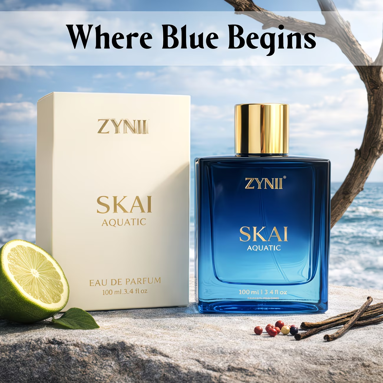 100ml Men’s Aquatic Perfume Sp – Perfume Luxury Fragrance Bewertung und Preis