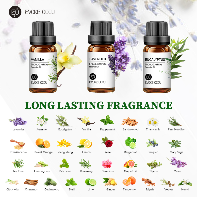 EVOKE OCCU 10mL Essential Oil, – Sandalwood Perfume Oil Bewertung und Preis