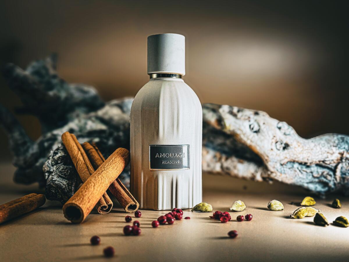 Amouage Guidance 46 Lineage Ou – Perfume Fragrance Deluxe Bewertung und Preis