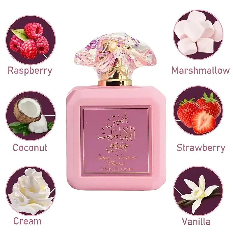 PINK BLUSH PERFUME Pink Mist S – Perfume Fragrance Mist Bewertung und Preis