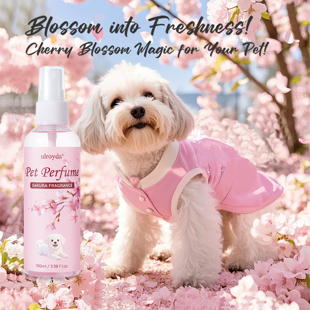 Sakura Pet Perfume Spray Long  – Perfume Fragrance House Bewertung und Preis